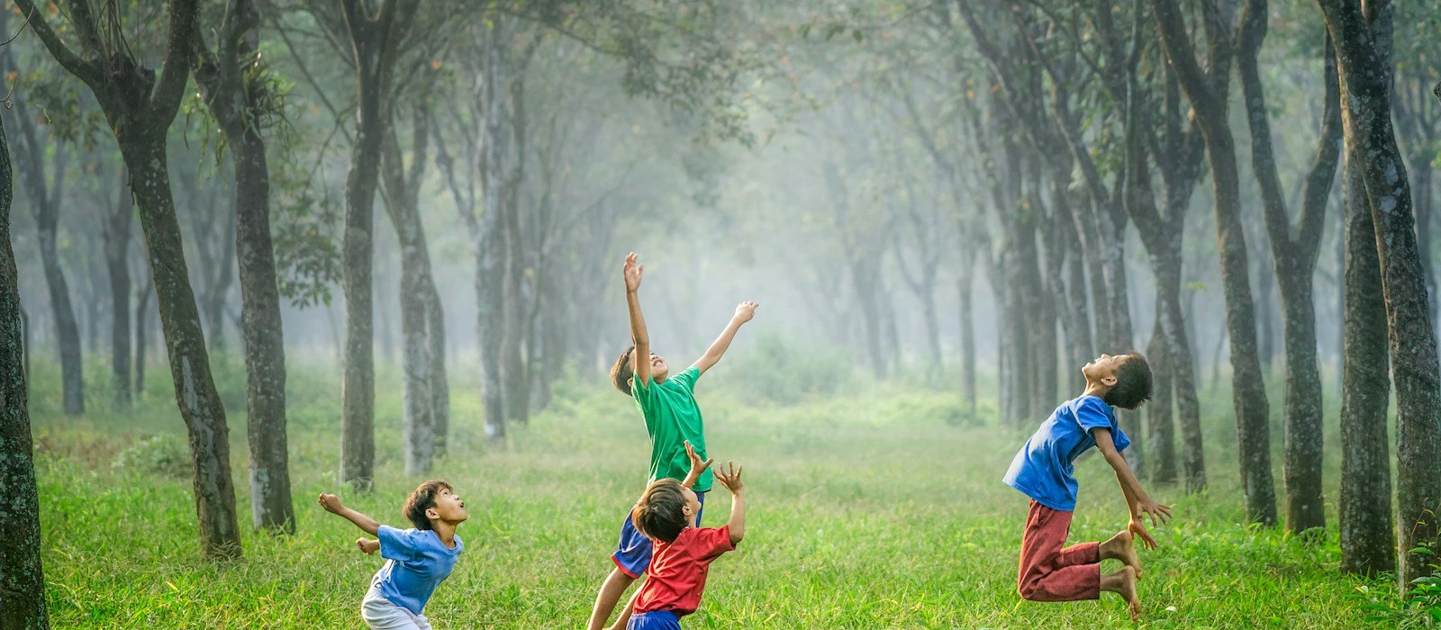 Quatre infants jugant i saltant en una zona verda entre arbres.